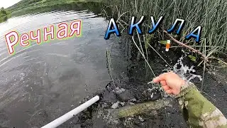 Щука!!! Я тебя поймаю!!!