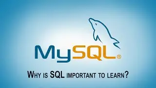 Why SQL Important || Structured Query Language