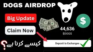 Dogs Airdrop Claim Now| Big Update| Dogs Deposit To Exchange