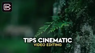 Tutorial CINEMATIC VIDEO EDITING di ShotCut Video Editor