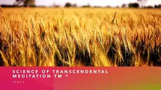 Science of Transcendental Meditation (TM): Part 3