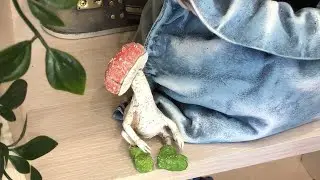 Анонс