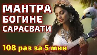 САРАСВАТИ МАНТРА - ОМ АИМ МАХА САРАСВАТЕЙ НАМАХА 108 раз за 5 минут