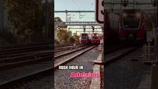 Three trains at once! Evening rush hour in Adelaide! #train #travel #adelaide