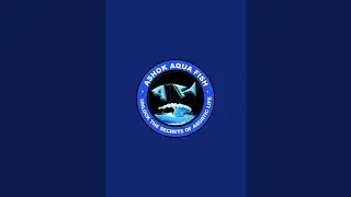 Ashok Aqua Fish🐟 is live! fish stock update🐟🐟