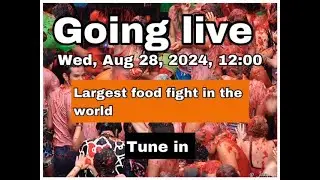 tomatina festival (largest food fight in the world) Buñol  Valencia