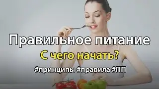 С чего начать правильное питание? Принципы и правила ПП