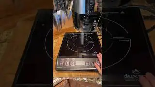 The Duxtop 1800W Portable Induction Cooktop