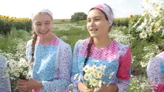 Корсунская Дружина-Пёрышко