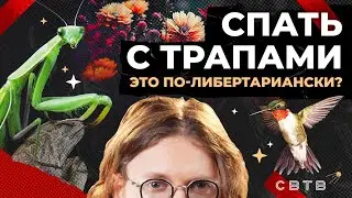 СТОИТ ЛИ СПАТЬ С ТРАПАМИ? // Хайлайты Михаила Светова