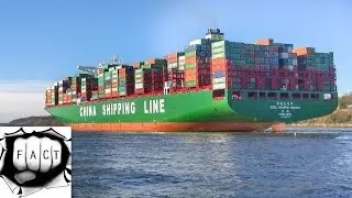 Top 10 Largest Container Ships In The World