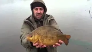 Monster crucian carp - biggest ever on film