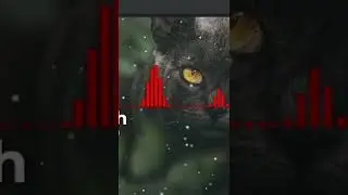 Годная визуализация для бита 