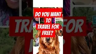 Do you want to travel for FREE? #shorts #ytshorts