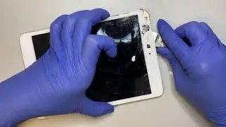 iPad Mini 3 LCD & Screen Replacement A1599 / A1600