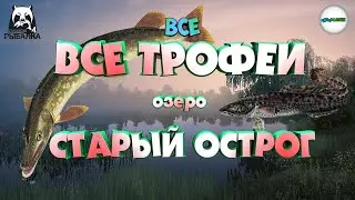 🔴РУССКАЯ РЫБАЛКА 4 (RUSSIAN FISHING 4)🔴 - ВСЕ ТРОФЕИ НА ОЗ. СТАРЫЙ ОСТРОГ. ПОЧЁТНЫЙ РЫБОЛОВ.