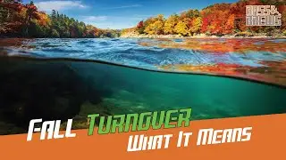 What is Fall Turnover? Let’s find out.