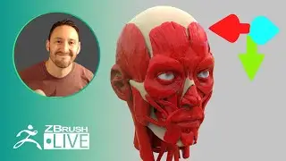 Pavlovich Workshop: Anatomy, ZBrush 2020 Features, & More - Michael Pavlovich