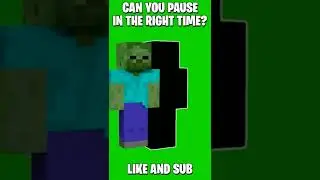 Can You Pause In The Right Time ? #shorts #minecraft