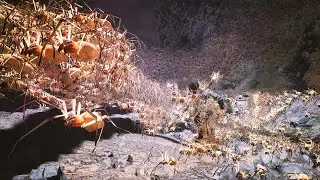 Why Arachnophobes Shouldn't Play Black Myth Wukong