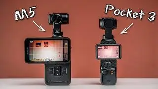 Ordro M5 vs DJI Osmo Pocket 3 Video Comparison // Closer than you think!