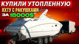 Купили утопленную яхту за $18000 на аукционе. Проект Соучастники Sea Ray. Бизнес на Яхтах в Майами.