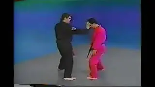 Long Form 2 Application American_Kenpo_ Purple Belt Mohamad Tabatabai