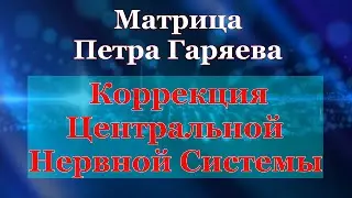 Чистая Матрица Гаряева🍀Коррекция Нервной Системы💖Nervous System Correction🍀Matrix Garyaev