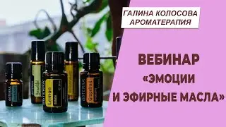 Вебинар 