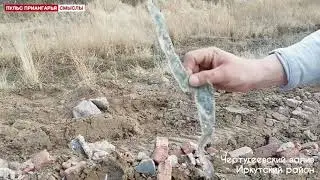 Журналист Королев и ревизор Друзь побывали на месте свалки мусора от демонтажа к/т «Чайка»