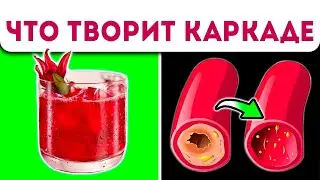 Даже 1 стакан Каркаде вызывает необратимые процессы в организме человека