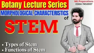 Morphological Characteristics of Stem | Stem Structure, Functions & Its Types | Plants Morphology