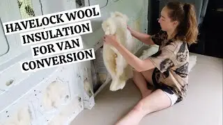 Havelock Wool Insulation in our DIY Van Conversion 🐑