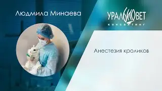 Анестезия кроликов. Лектор Людмила Ефимова (Минаева). 