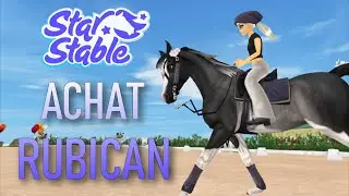 ACHAT du PSA Rubican | Star Stable