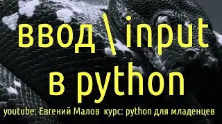 Ввод\input в python