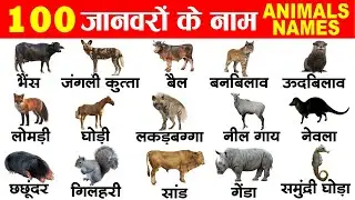 100 Animals name in hindi and english with pronunciation | 100 जानवरों के नाम हिंदी और इंग्लिश में