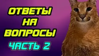 Двойной Удар Отвечает на вопросы подписчиков. Часть Вторая.