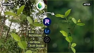 How to Blur Image Background and Create Moody Green Photo Editing in Lightroom | PhotoRoom Editing