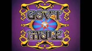 Gov't Mule - 32-20 Blues (Live)