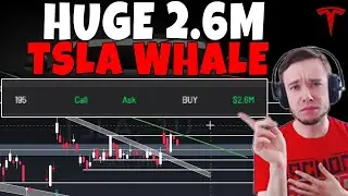 TESLA Stock - Huge 2.6 MILLION TSLA Whale!