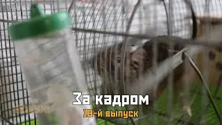 На съёмках восемнадцатого выпуска киножурнала «ВСЛУХ!»