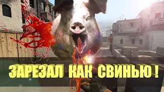 Зарезал как свинью в CS GO / Убийца глобалов #4