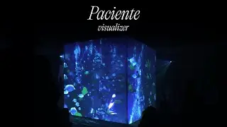 Juliana - Paciente (Visualizer)