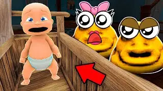 Baby and POU FAMILY Play Hide and Seek!