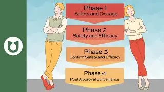 Phases of Clinical Trials: Explained