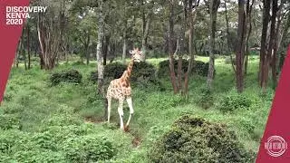 Discovery Kenya 2020 - Day 7
