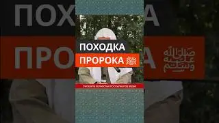 Походка Пророка ﷺ || Сирадж Абу Тальха