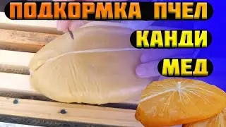 Зимняя подкормка пчел. Подкормка пчел зимой Канди или Мед