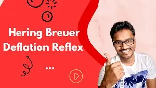 Hering Breuer Deflation Reflex